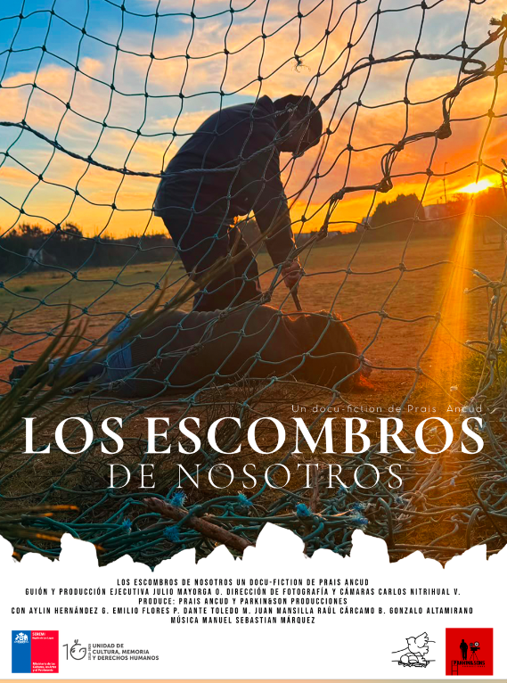 AFICHE VIDEO